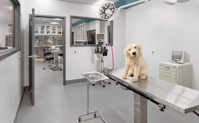Project Spotlight: Manor College Veterinary Technology Facilities
