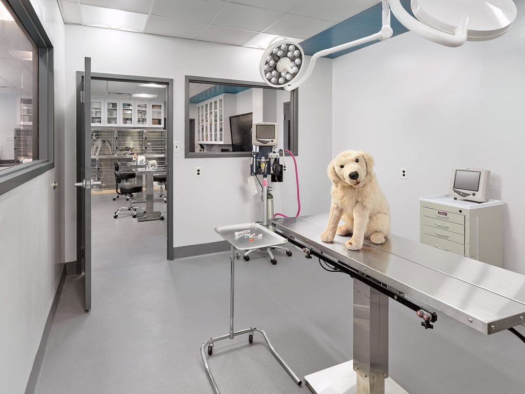 Renovated operating room of Manor College Veterinary Technology Facilities